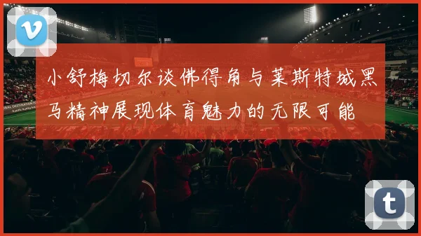 小舒梅切尔谈佛得角与莱斯特城黑马精神展现体育魅力的无限可能