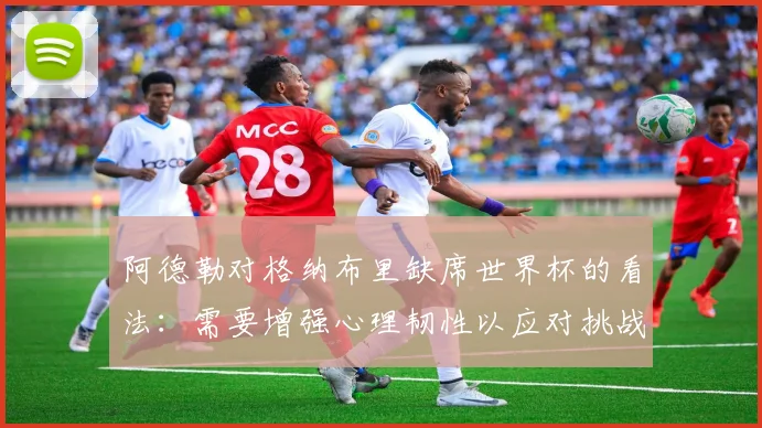 阿德勒对格纳布里缺席世界杯的看法：需要增强心理韧性以应对挑战