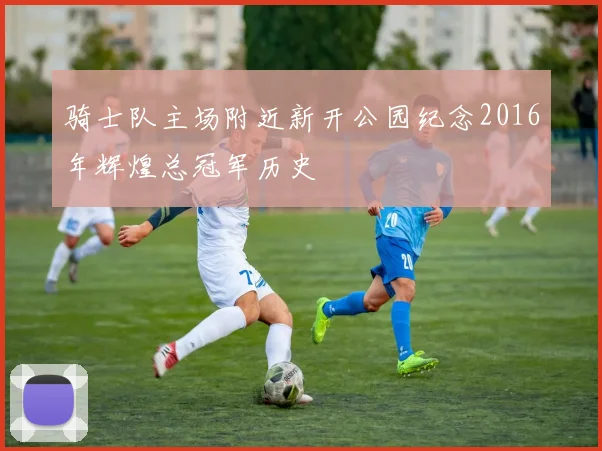 骑士队主场附近新开公园纪念2016年辉煌总冠军历史