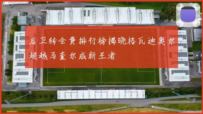 后卫转会费排行榜揭晓格瓦迪奥尔超越马奎尔成新王者